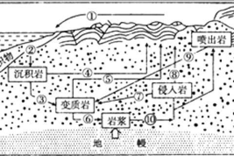 梦境循环，探索为何总在梦中重访已知之地