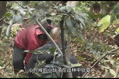 梦见自己被鬼杀死了全身是血，探索梦境背后的深层含义