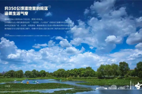 解读梦境，楼旁遇见的绿色巨蛇之谜