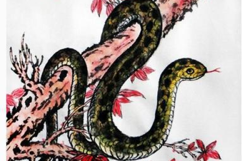梦境解析，我梦见抓到的鱼扔到地上又打死了——寓意与象征的深层解读