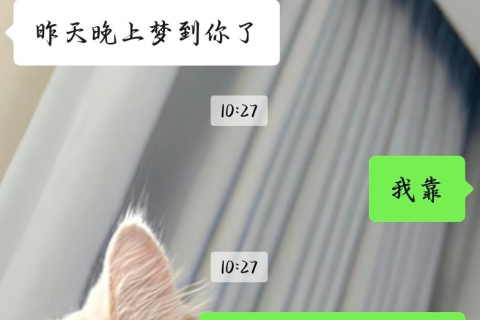 昨晚做了个梦，梦见前女友骂我，请详解此梦的含义，谢谢大家