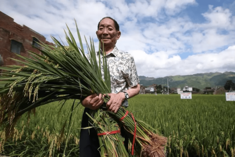 最近老梦见亲人受伤或去世，求解梦境背后的深层含义