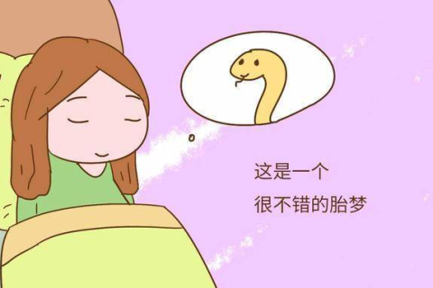 孕妇晚上做梦梦见老鼠，寓意与解读