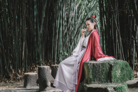 梦境中的启示，解析梦中大蛇的生死循环与深层含义