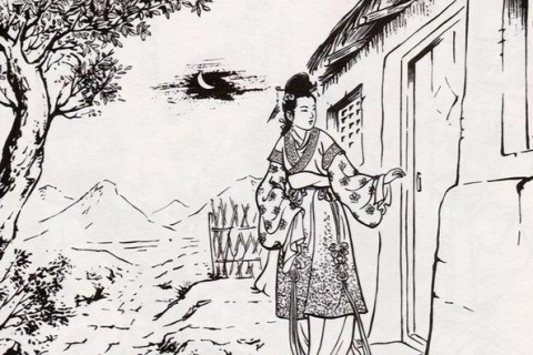 梦境解析，女人梦见捡了一个可爱的小黑猫
