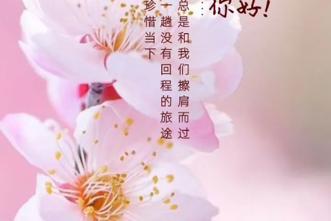 男友分手后的梦境，我怀了他的孩子，而他欣然接受