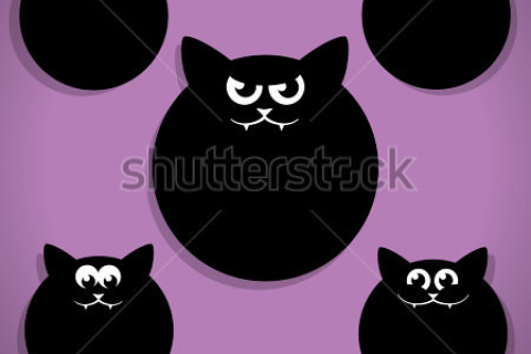做梦梦到黑猫从我面前过去会怎样，探索梦境中的神秘符号与心理暗示