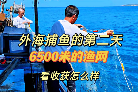 梦见自己和别人一起捉了好多鱼，探索梦境中的丰收与协作