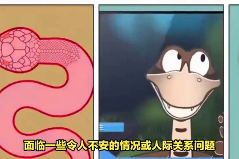 周公解梦，梦见被蛇咬，寓意深远，解读梦境背后的秘密