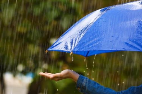 梦见下雨了顺路买了把雨伞，预示生活将迎接新变化
