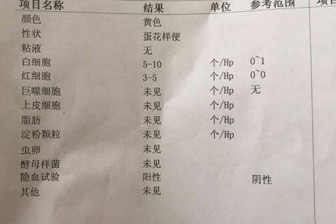 梦境中的生理预兆，解析梦到自己上厕所后大量出血的深层含义