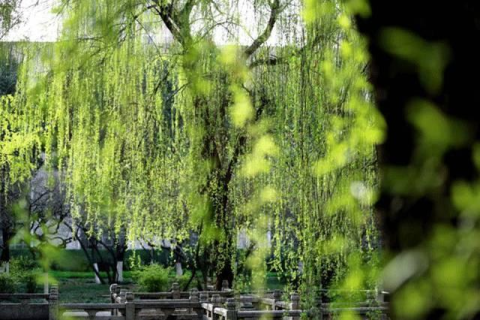 解析梦境，为何频繁梦见喜欢的女生与他人相伴？