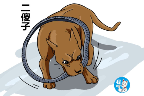梦境解析，梦到被蛇追然后被缠住，寓意何在？