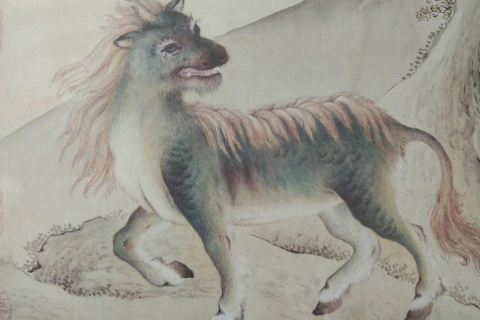 梦见两只凤凰和一只麒麟麒麟身上坐着一个人，神话与梦境交织的深层解析