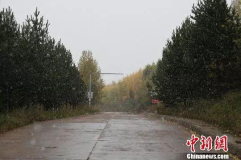 梦境中的纯净世界，解析梦见外面正在下雪，地面雪白的深层含义