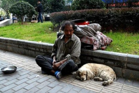 梦见狗和乞丐抱，梦境背后的深层含义与解析