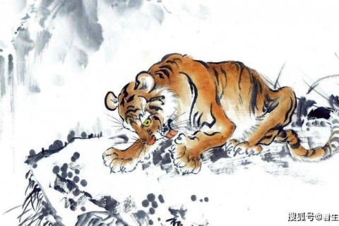 梦境解析，老虎与狮子的相遇——探索深层心理的象征意义