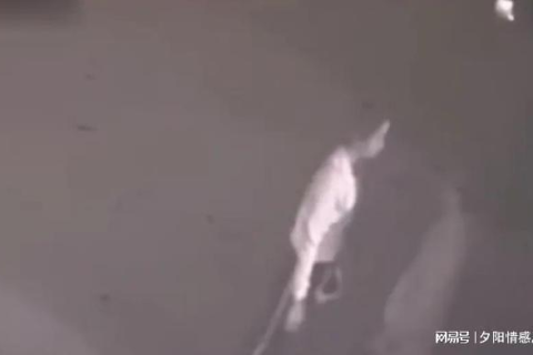 梦境中的恐惧与同事的讲述，解析梦见女人跳楼的深层含义