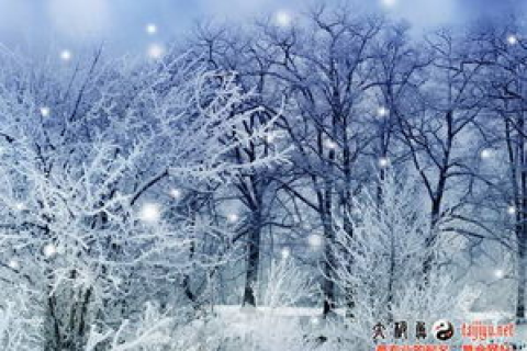 梦见雪是什么意思，探索梦境中的纯净与变革