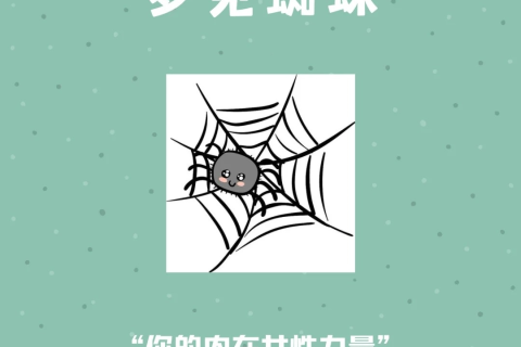 女人梦见蜘蛛，是怀孕的预兆吗？解读梦境中的奥秘与心理暗示