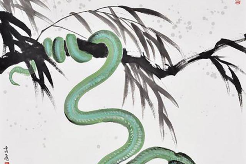 梦见蛇在身上爬，潜意识深处的预兆与心理解析
