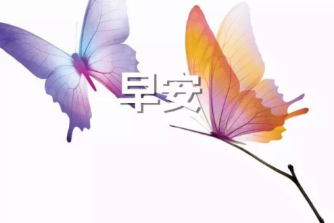 有时候梦见蝴蝶，探索梦境中的美丽寓意与心灵启示