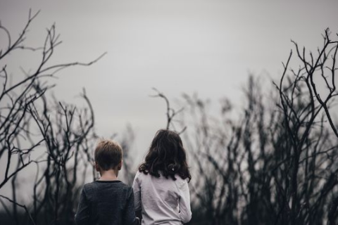 梦见死去已久的奶奶，穿越时空的情感纽带与心灵慰藉