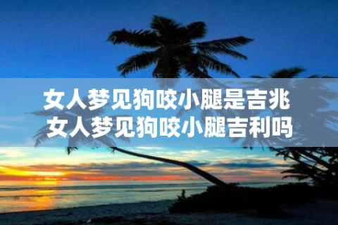 女人梦见被狗咬住腿不放，梦境背后的深层解析与心理启示