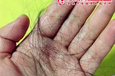昨晚梦见头发一抓掉一大把，周公解梦与我的心灵对话