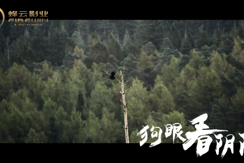 从梦境的洪流中重生，解析梦见自己被大水冲又爬到岸上的深层含义