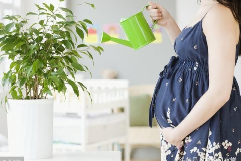 已婚女梦见孕妇，梦境背后的深层预兆与心理解析