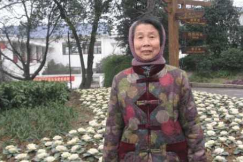 总是梦见与火车有关的事情，探索梦境背后的深层含义