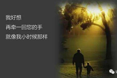 梦回往昔，父爱如初，与逝去父亲20夜相聚的奇幻之旅