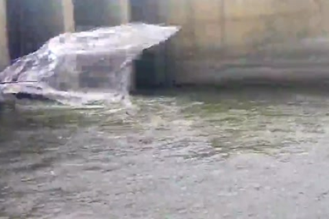梦境解析，大雨倾盆，房顶漏洞与落鱼之兆