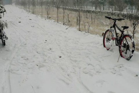 昨晚梦见地上好厚的雪，接着又梦见自己的牙齿好多松了好像就要脱了