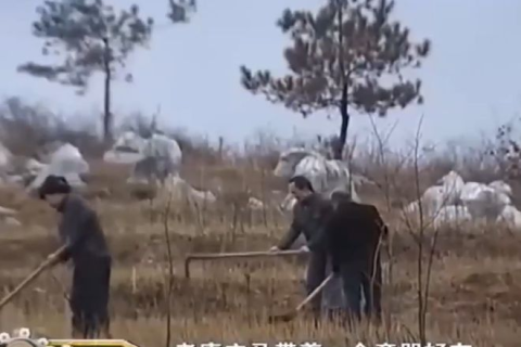 爷爷已逝梦频回，为何多年之后仍梦见爷爷刚去世的情景？
