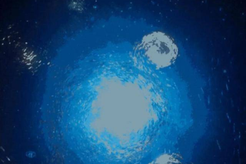 海洋之遇，梦中救人与意外怀孕的神秘联结