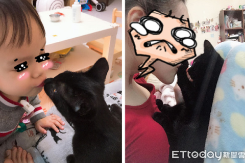 做梦梦到一只黑猫跟着自己回家，神秘梦境的深层解读