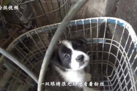 梦境解析，做梦梦见丢自行车意味着什么？