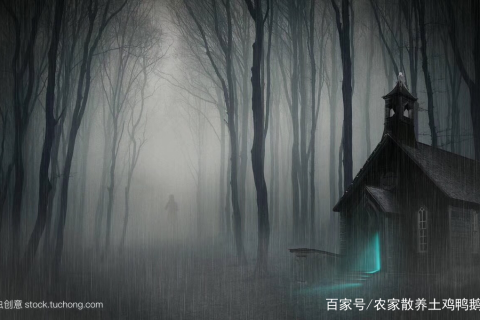梦境中的幽影，探索晚上做梦梦到鬼了但是没看见在一个房子里还看见一个红衣服的深层含义