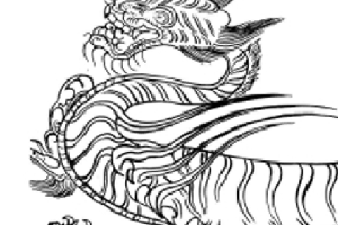 梦境中的神秘符号，女人晚上做梦梦到蛇，寓意何在？