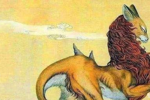 梦见别人抓壁虎，探索梦境背后的深层含义