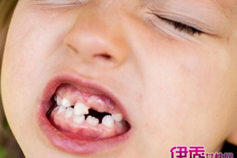 梦境解析，梦见掉牙齿牙齿里有好多虫