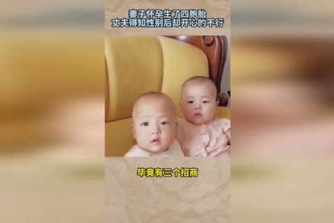 未婚怀孕梦境中的四胞胎，探索性别与命运的隐喻