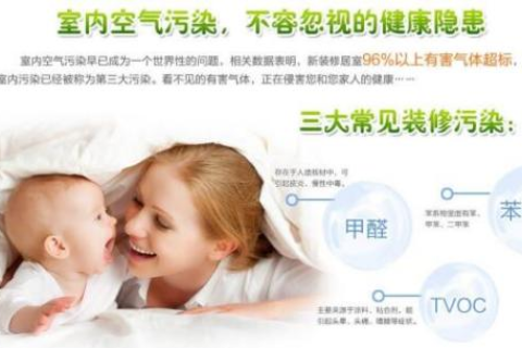 梦境的净化，从屎尿满地到洁净如新的内心旅程