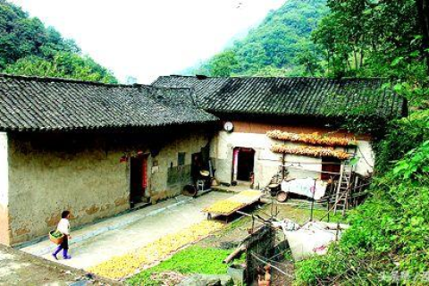 梦回小学时光，频繁梦境中的情感纠葛与心灵探索