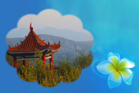 梦境与现实交织，前女友的温柔回归，却只是一场空欢喜