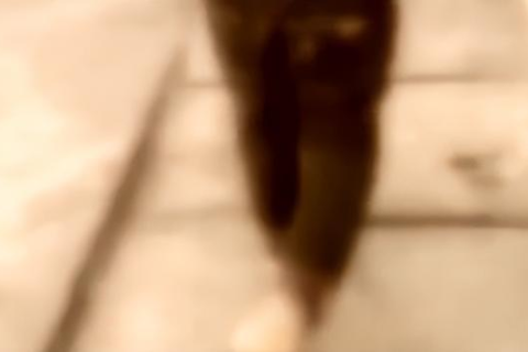 梦境中的温暖拥抱，梦见去世父亲抱着我腿的意义与解读