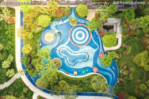 梦境解析，三只猴子困在坑中的奥秘