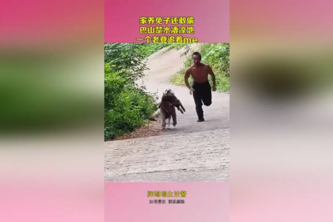 梦见偷别人家的抓鱼网，潜意识的隐喻与心灵深处的启示